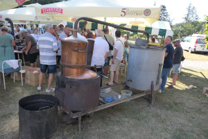 489951734 1124824833013675 6041699302562790875 n 